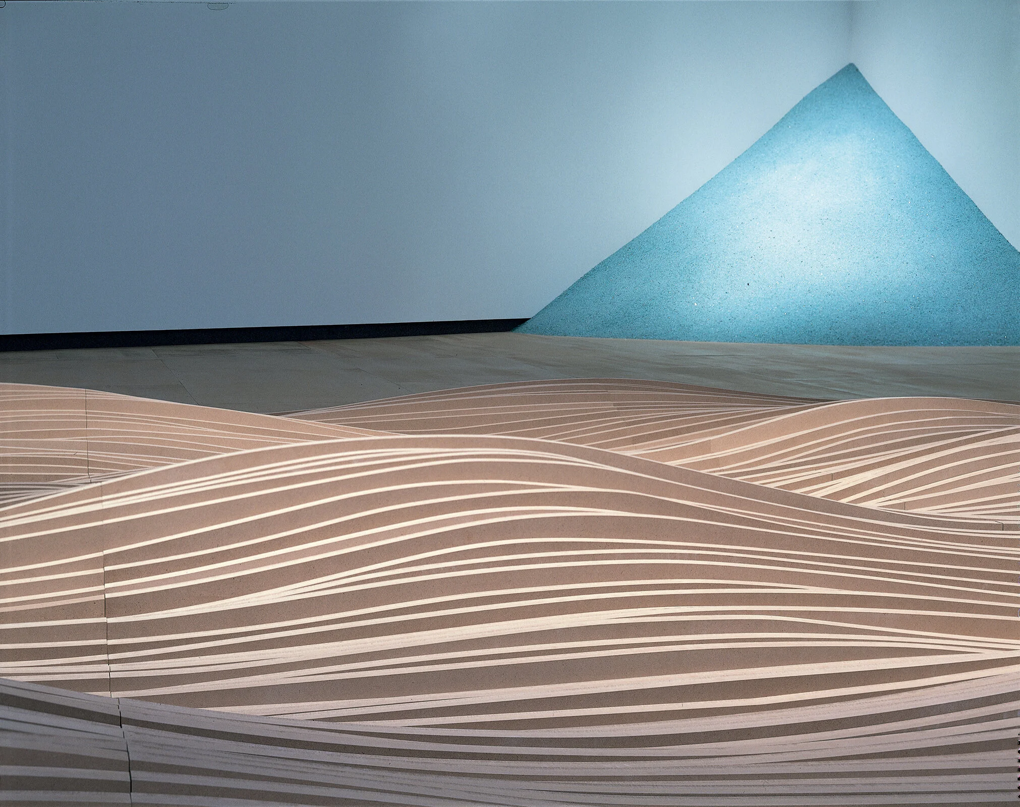 Maya Lin Topologies 建築 マヤ・リン Maya Lin Topologies 建築 マヤ・リン - メルカリ